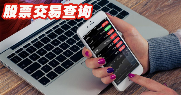 在股票APP软件里，股票交易页面点击“查询”，可以查什么？